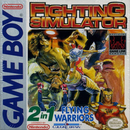 Fighting Simulator 2 in 1 - Flying Warriors (USA, Europe)