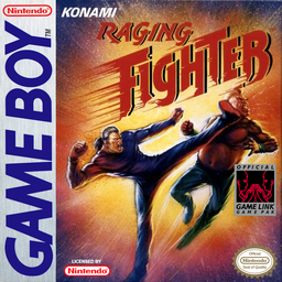 Raging Fighter (USA, Europe)