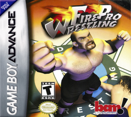 Fire Pro Wrestling (USA, Europe)
