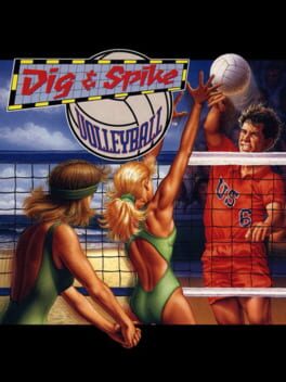 Dig & Spike Volleyball (USA)