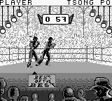Best of the Best - Championship Karate (USA) - Gameplay