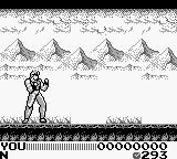 Fighting Simulator 2 in 1 - Flying Warriors (USA, Europe) - Gameplay