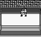 HAL Wrestling (USA) - Gameplay