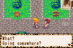 Dokapon - Monster Hunter (USA) - Gameplay