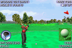 Tiger Woods PGA Tour 2004 (USA, Europe) - Gameplay