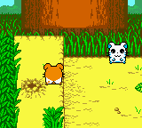 Hamtaro - Ham-Hams Unite! (USA) - Gameplay