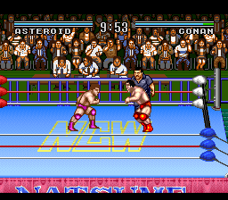 Natsume Championship Wrestling (USA) - Gameplay